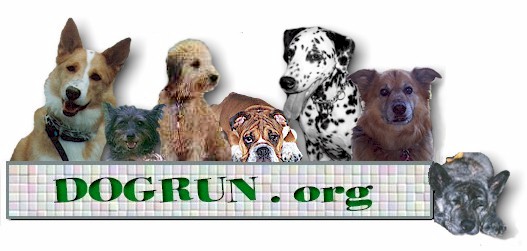 Just some of "The Gang"!